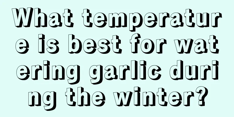 What temperature is best for watering garlic during the winter?