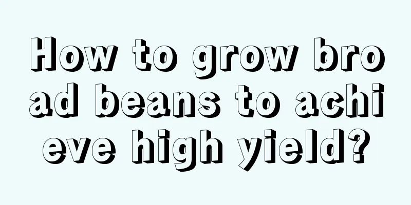 How to grow broad beans to achieve high yield?