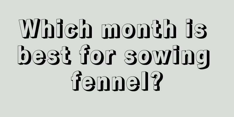 Which month is best for sowing fennel?