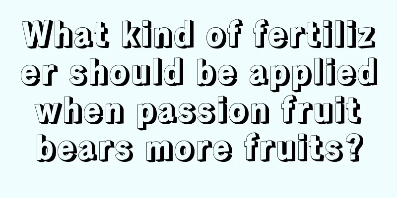 What kind of fertilizer should be applied when passion fruit bears more fruits?