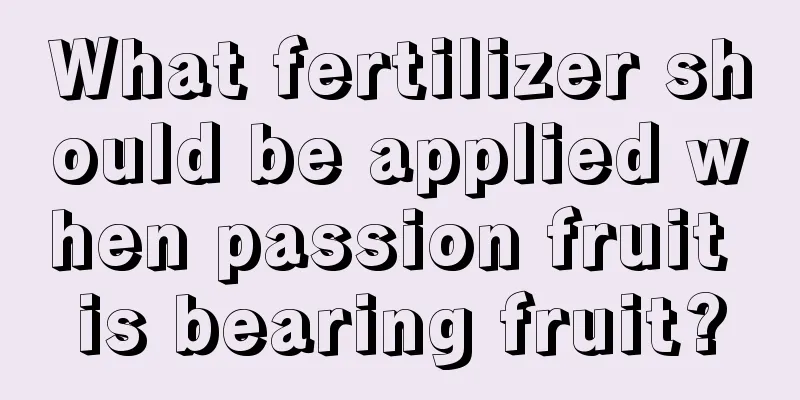 What fertilizer should be applied when passion fruit is bearing fruit?