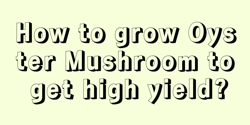 How to grow Oyster Mushroom to get high yield?