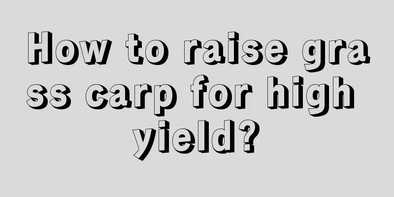 How to raise grass carp for high yield?