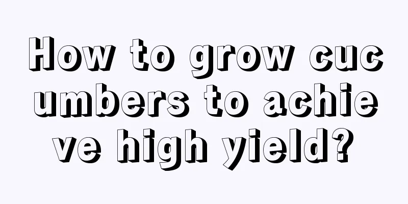 How to grow cucumbers to achieve high yield?