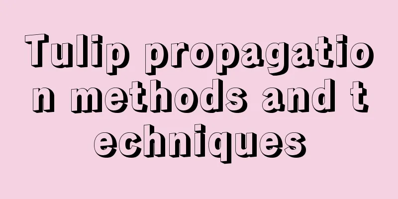 Tulip propagation methods and techniques