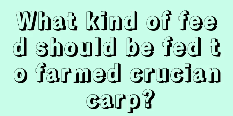 What kind of feed should be fed to farmed crucian carp?