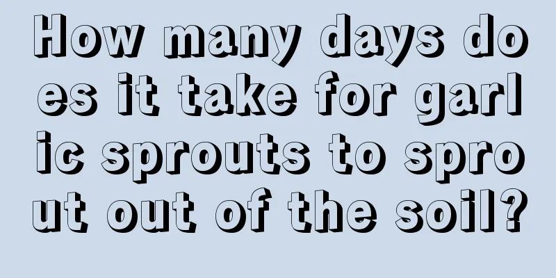 How many days does it take for garlic sprouts to sprout out of the soil?