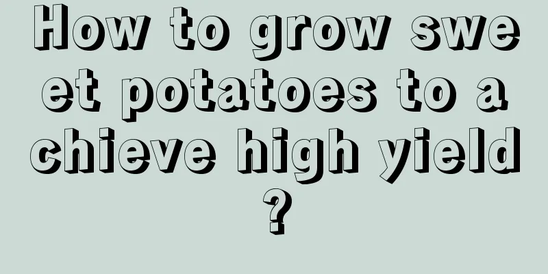 How to grow sweet potatoes to achieve high yield?