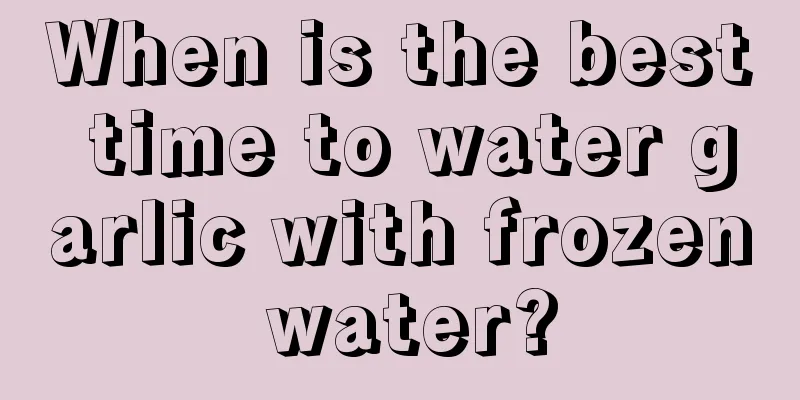 When is the best time to water garlic with frozen water?