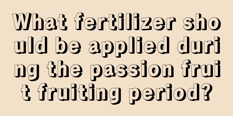 What fertilizer should be applied during the passion fruit fruiting period?