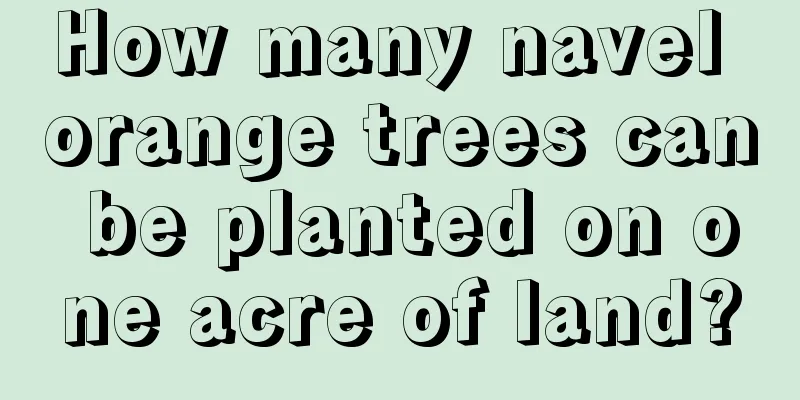 How many navel orange trees can be planted on one acre of land?