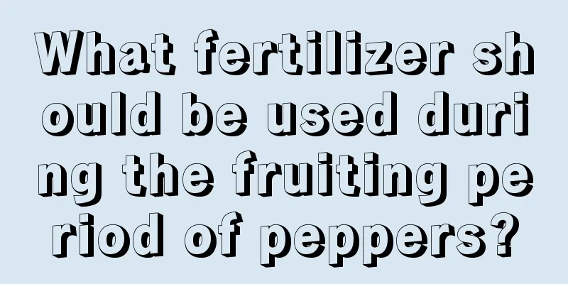 What fertilizer should be used during the fruiting period of peppers?