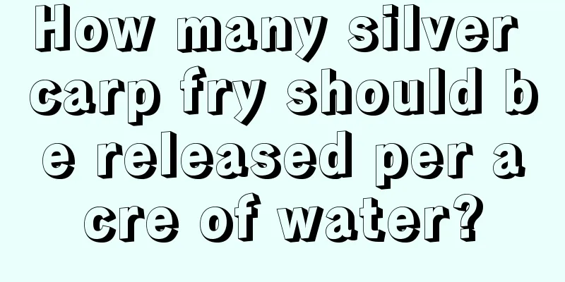 How many silver carp fry should be released per acre of water?