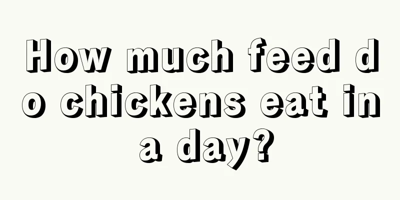 How much feed do chickens eat in a day?