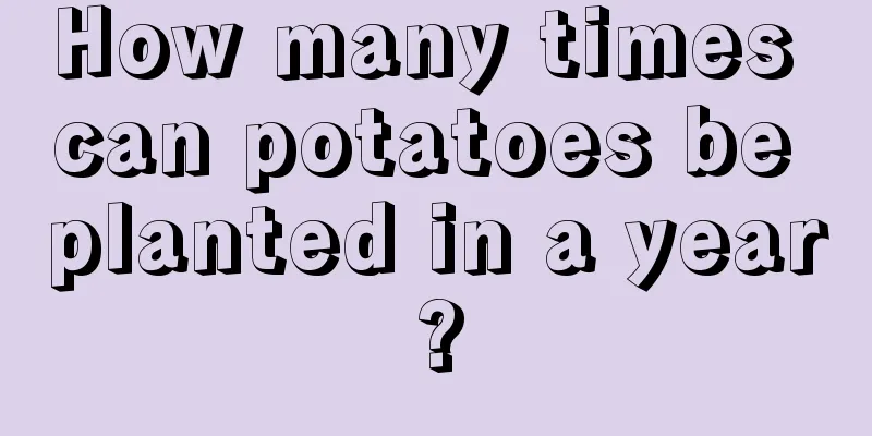 How many times can potatoes be planted in a year?