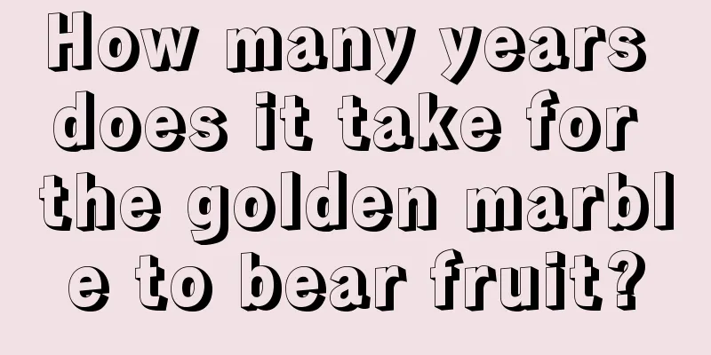 How many years does it take for the golden marble to bear fruit?