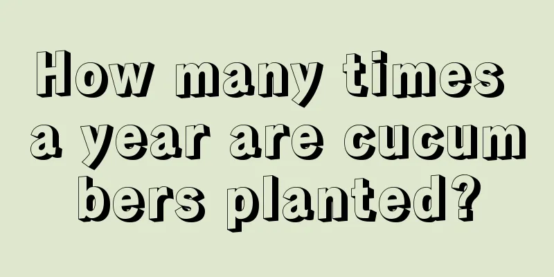 How many times a year are cucumbers planted?