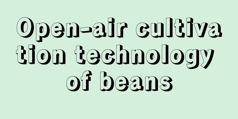 Open-air cultivation technology of beans