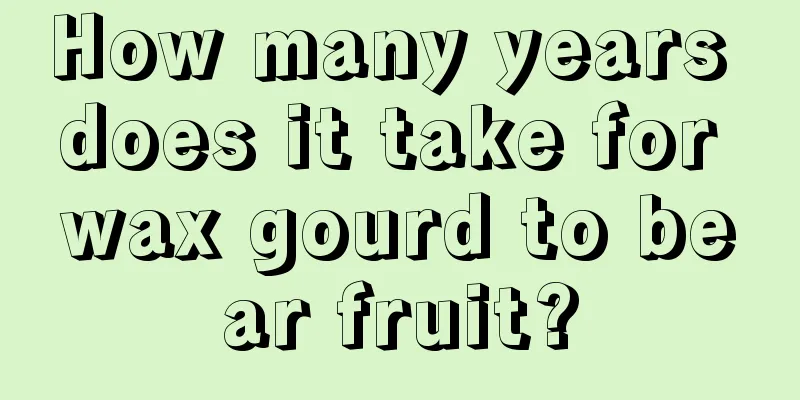 How many years does it take for wax gourd to bear fruit?