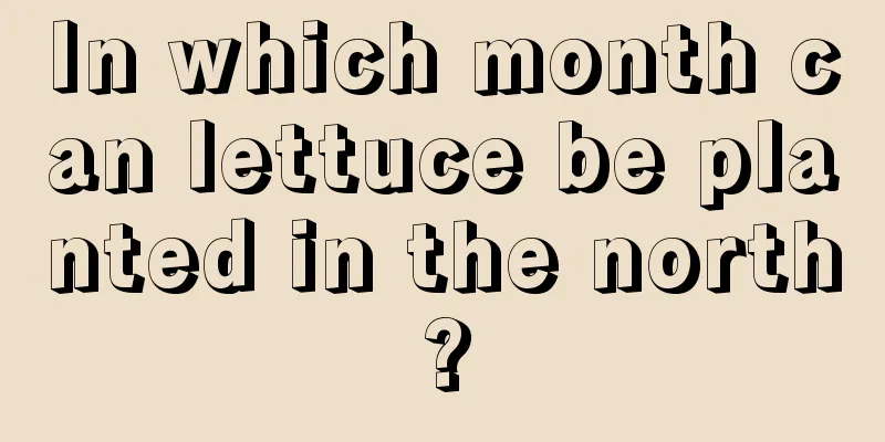 In which month can lettuce be planted in the north?