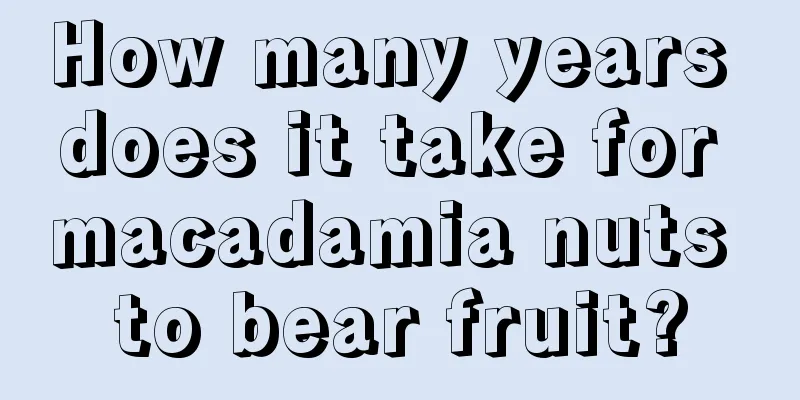 How many years does it take for macadamia nuts to bear fruit?