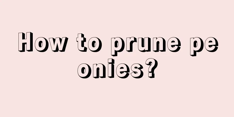 How to prune peonies?