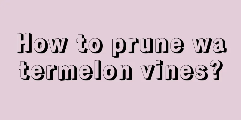 How to prune watermelon vines?