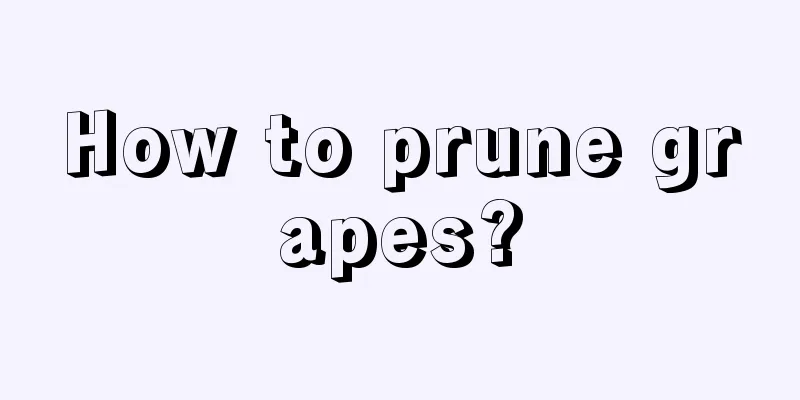 How to prune grapes?