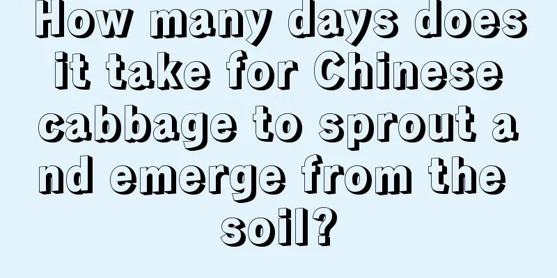 How many days does it take for Chinese cabbage to sprout and emerge from the soil?