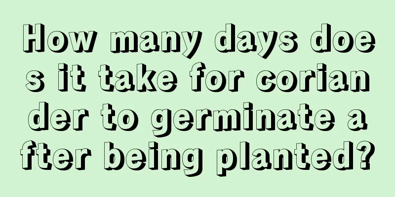 How many days does it take for coriander to germinate after being planted?