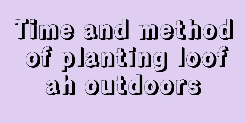 Time and method of planting loofah outdoors