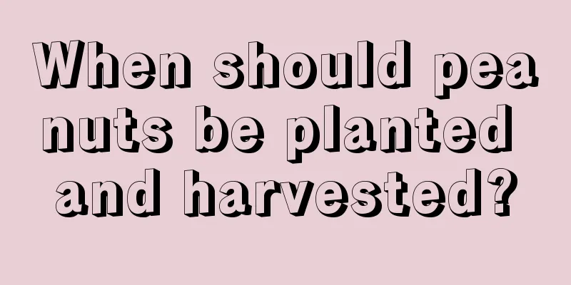 When should peanuts be planted and harvested?