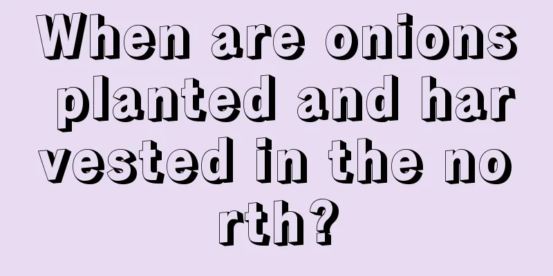 When are onions planted and harvested in the north?