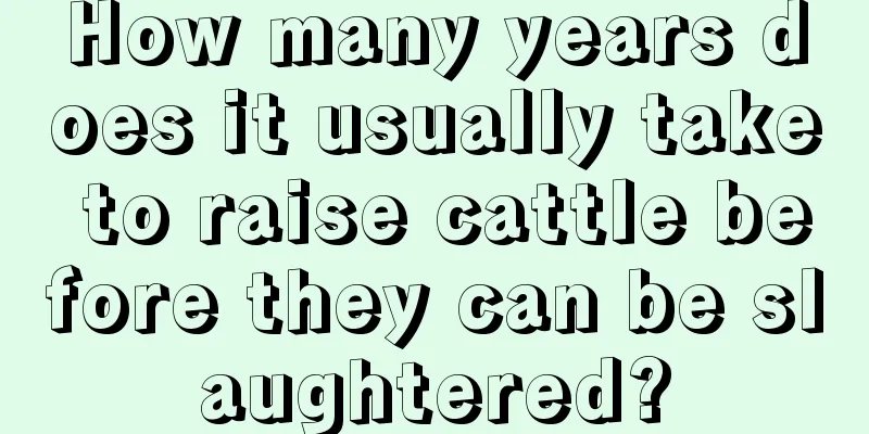 How many years does it usually take to raise cattle before they can be slaughtered?