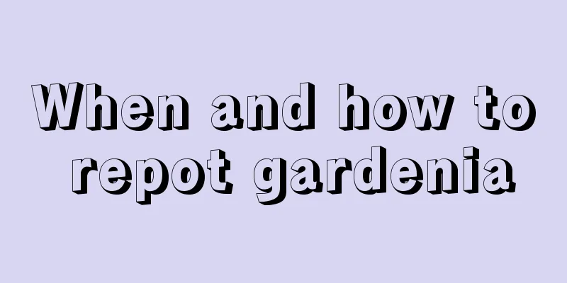 When and how to repot gardenia