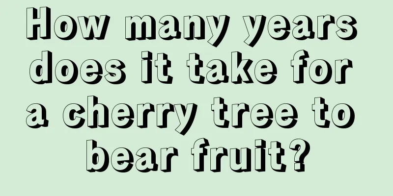 How many years does it take for a cherry tree to bear fruit?