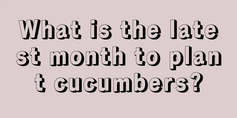 What is the latest month to plant cucumbers?