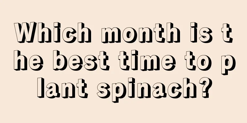 Which month is the best time to plant spinach?