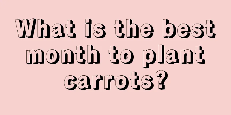 What is the best month to plant carrots?