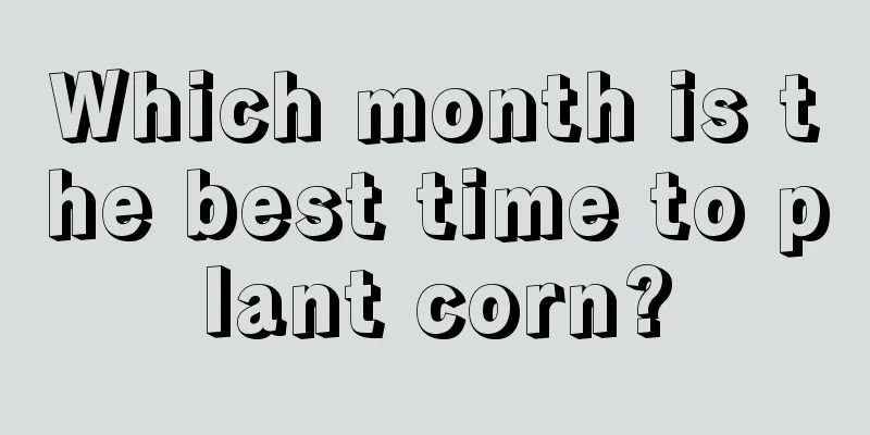 Which month is the best time to plant corn?