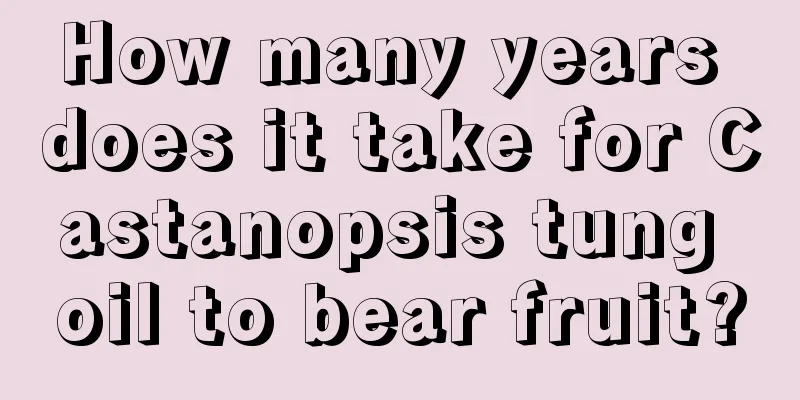 How many years does it take for Castanopsis tung oil to bear fruit?