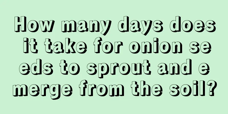 How many days does it take for onion seeds to sprout and emerge from the soil?