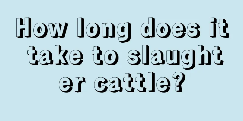 How long does it take to slaughter cattle?