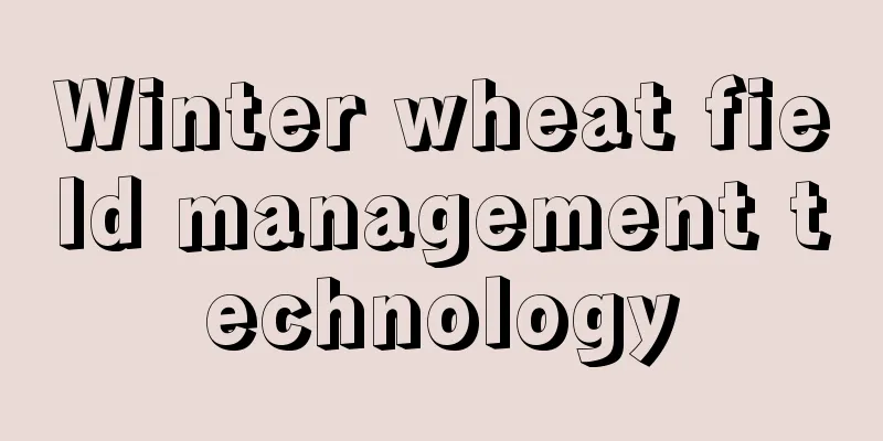 Winter wheat field management technology