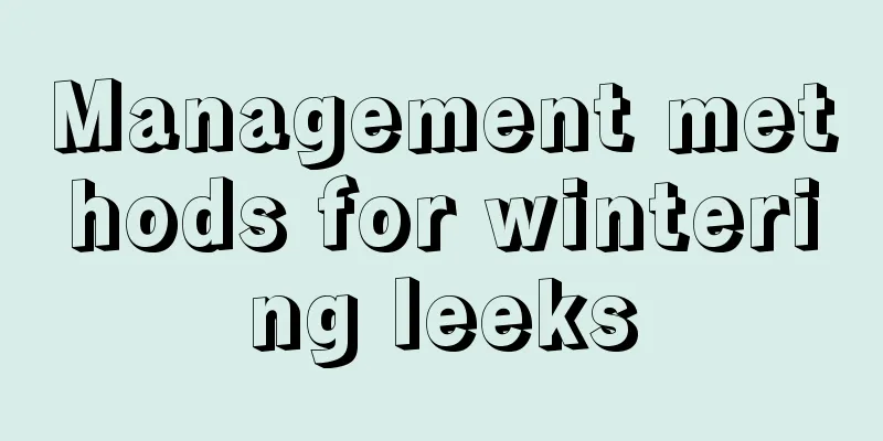 Management methods for wintering leeks