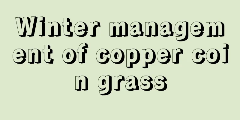 Winter management of copper coin grass