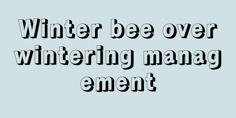 Winter bee overwintering management