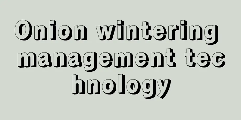 Onion wintering management technology