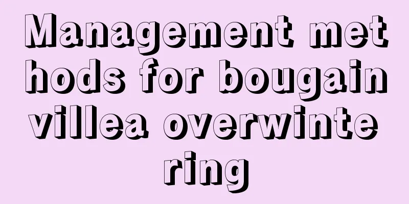 Management methods for bougainvillea overwintering