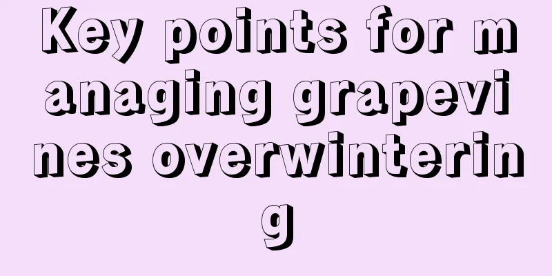 Key points for managing grapevines overwintering